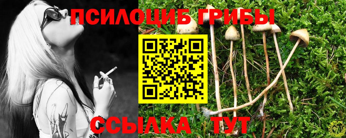 Галлюциногенные грибы прущие грибы  Псилоцибиновые грибы Psilocybine cubensis  Вход с VPN  Старая Купавна 